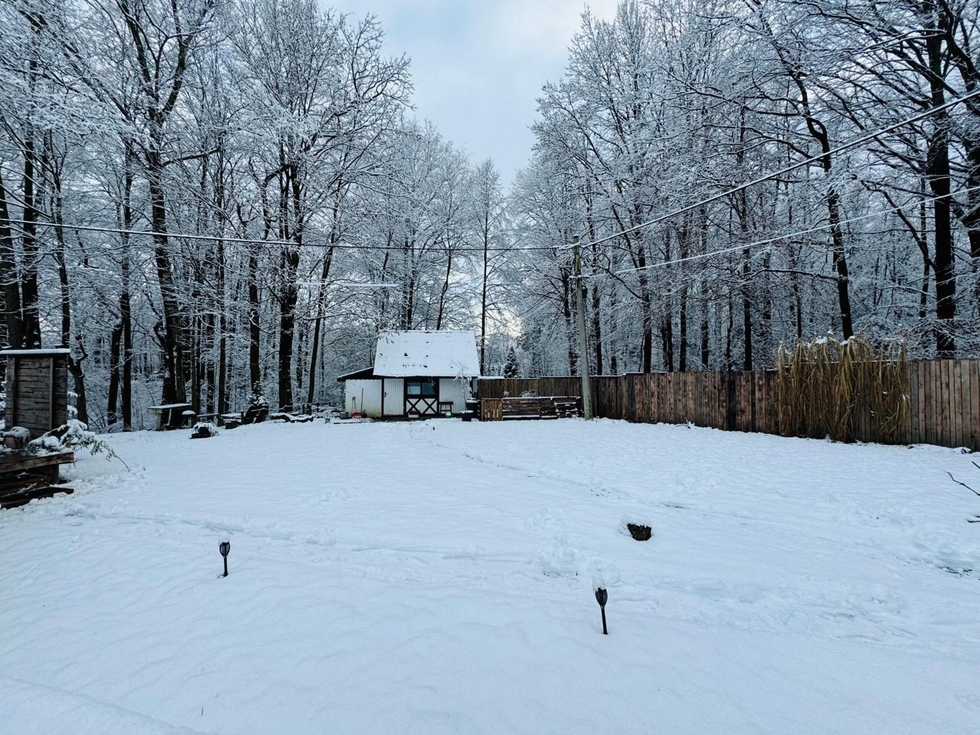 Romantyczna Chatka Villa Pisarzowice  Exterior foto