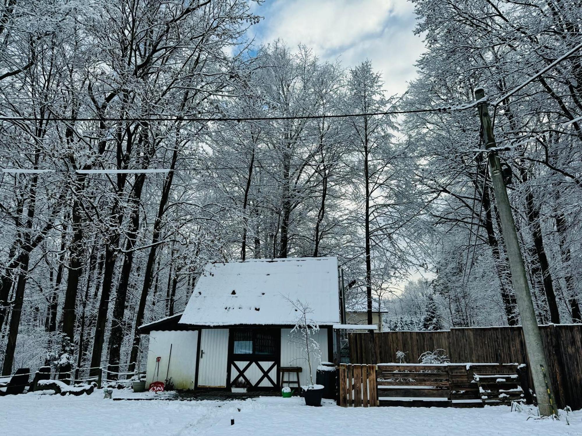 Romantyczna Chatka Pisarzowice  Exterior foto